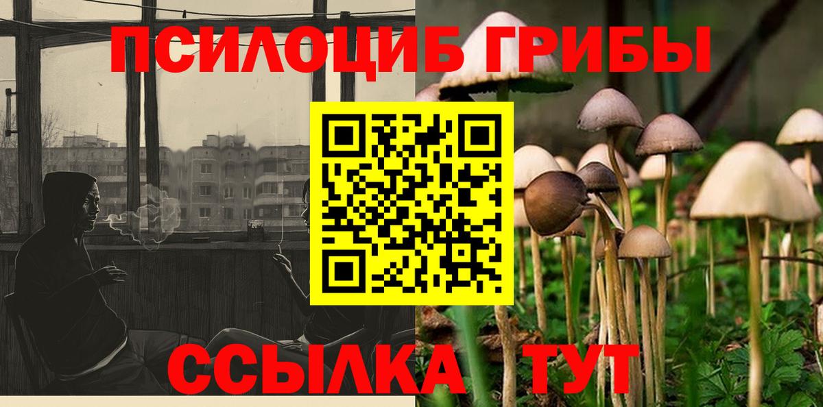 Псилоцибиновые грибы ЛСД Ирбит